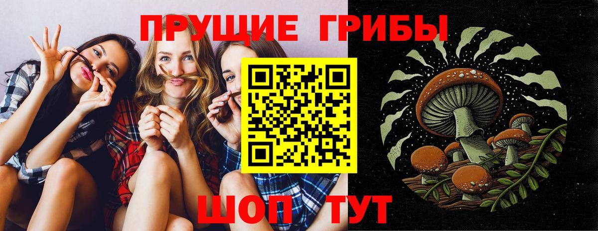 Галлюциногенные грибы прущие грибы  Вход с VPN  Галлюциногенные грибы Psilocybine cubensis  Прохладный 