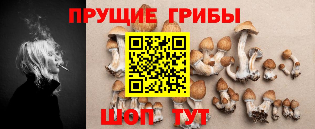 Псилоцибиновые грибы мухоморы Прохладный