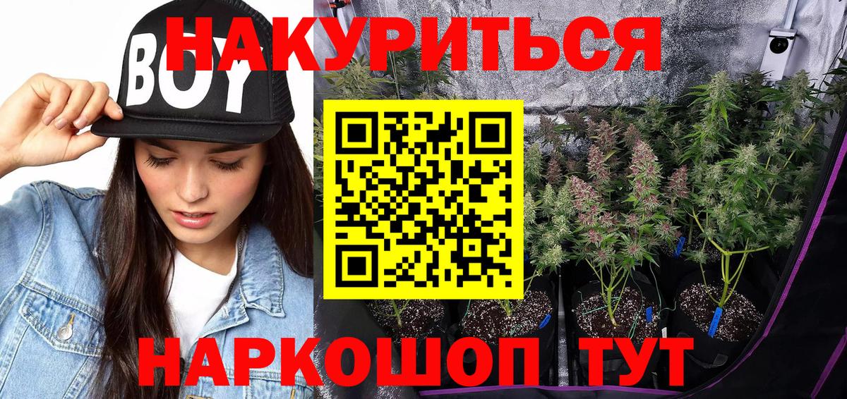 Бошки марихуана марихуана Прохладный